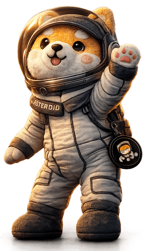 Asteroid Shiba, flight ready